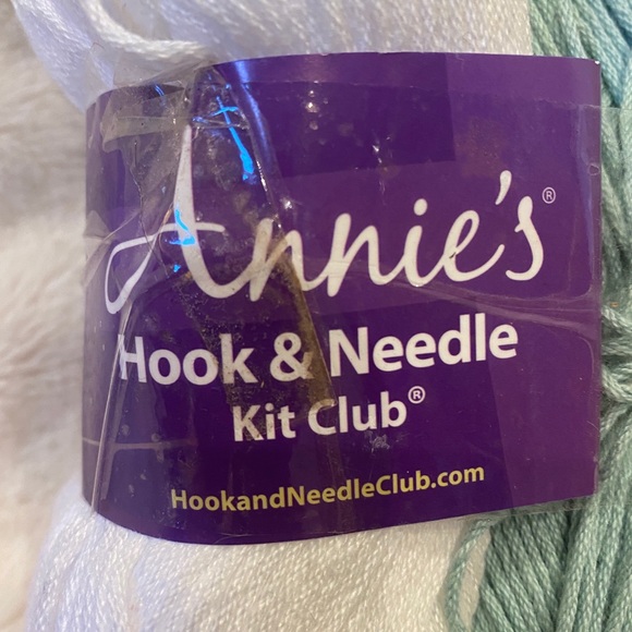 Bundle of 3 Lighweight Yarn Skeins from Annie's Hook & Needle Kit Club NWT - Picture 4 of 5